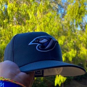Blue Jays MLB fitted